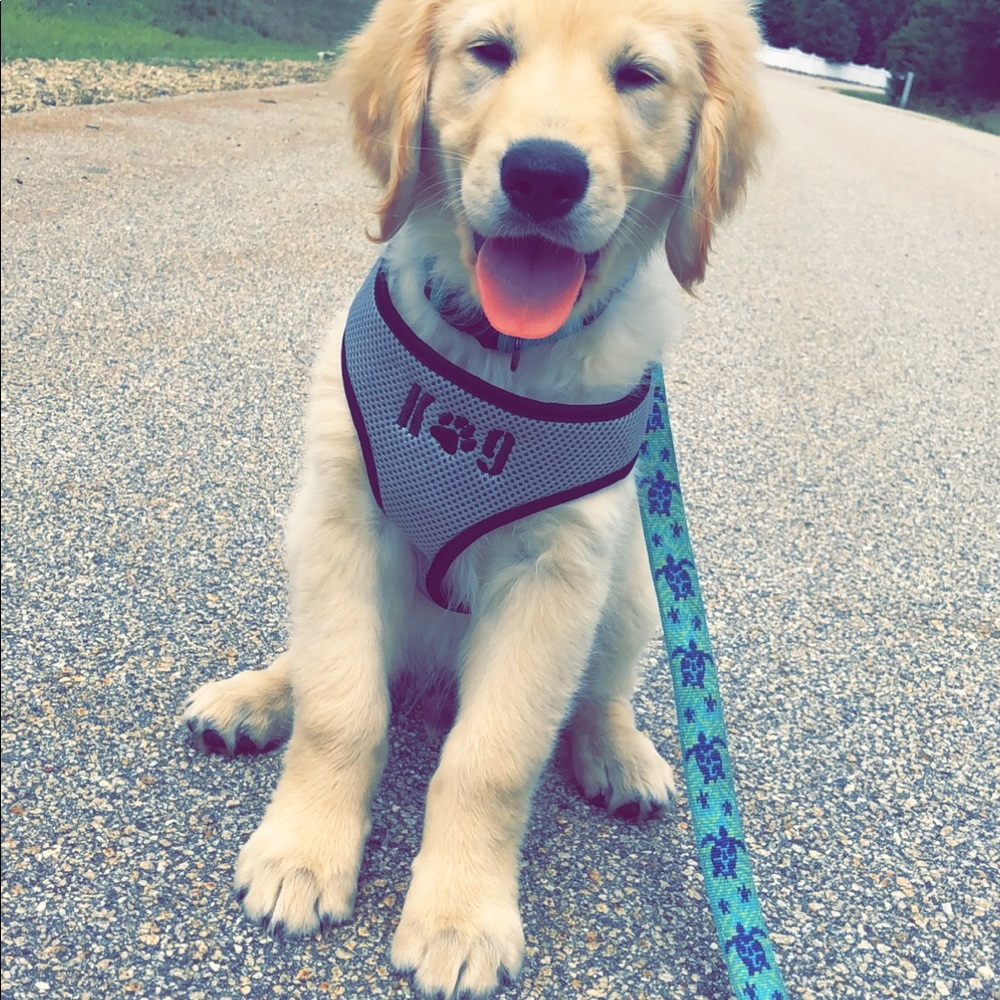 Meet your Posher, Jessica